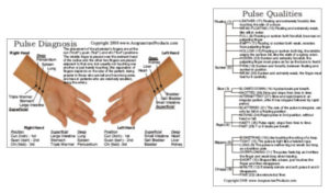 Acupuncture Evaluation - Pulse Diagnostic