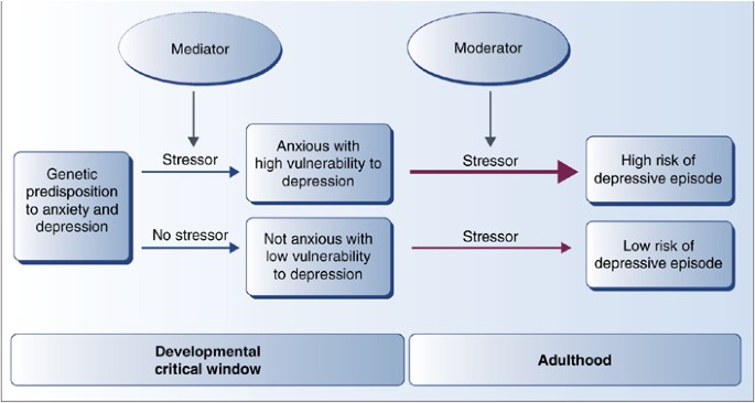 Genetic nature of anxiety