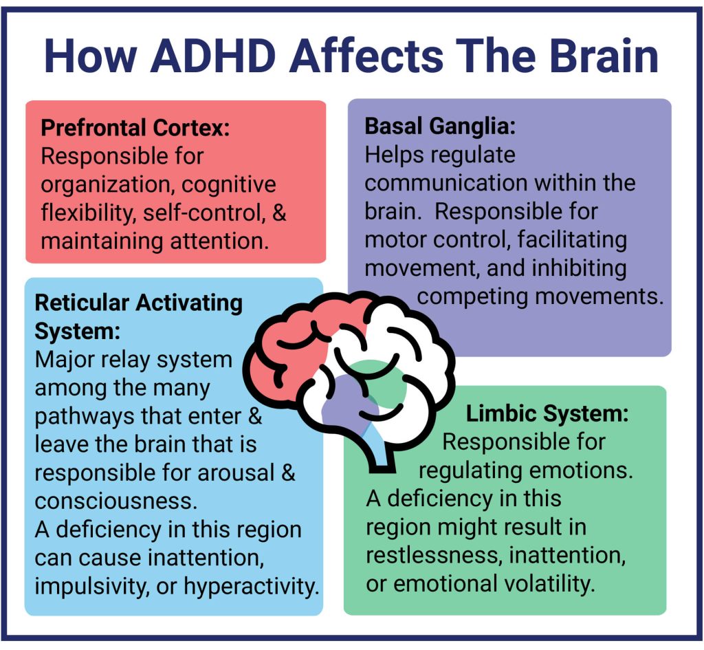 affects brain