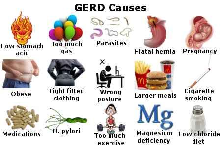 GERD causes
