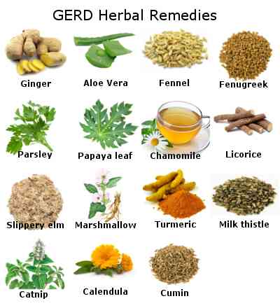 GERD herbs