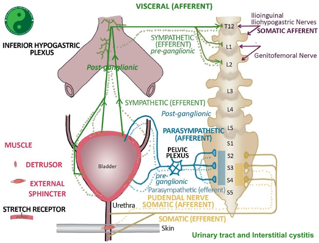 Mechanism of IC
