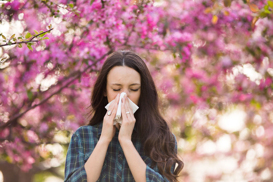 allergic rhinitis 