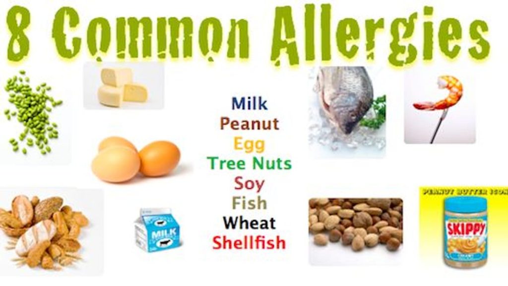 Allergy causes