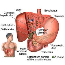 Billiary Dyskenesia