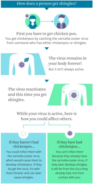 Shingles: When shingles are contagious?