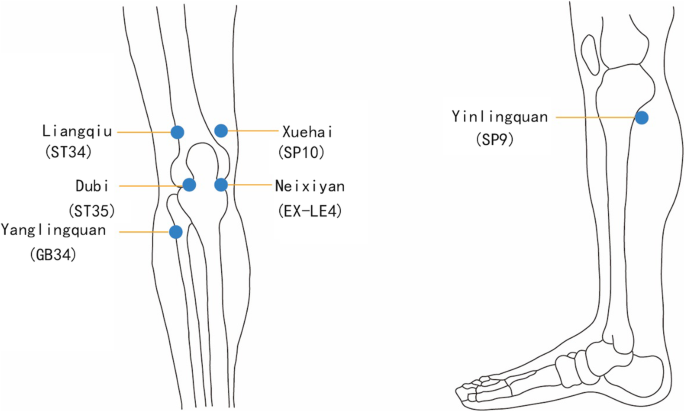 Acupuncture points for knee pain