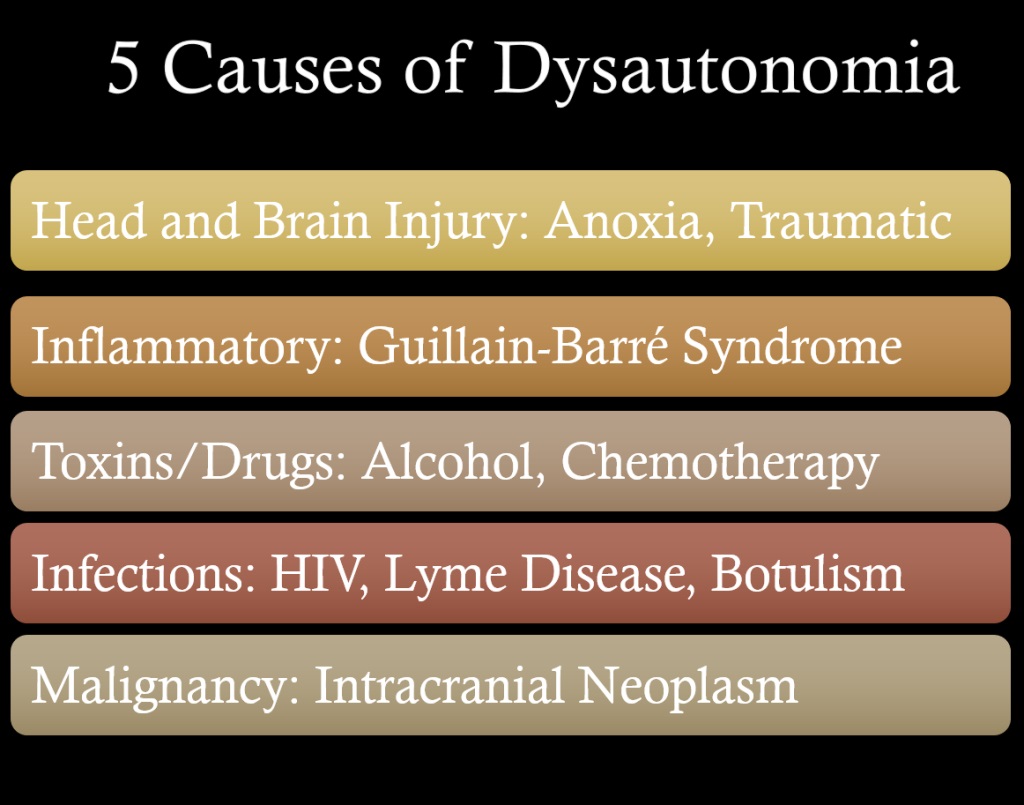 Causes of vessels vagal syndrome